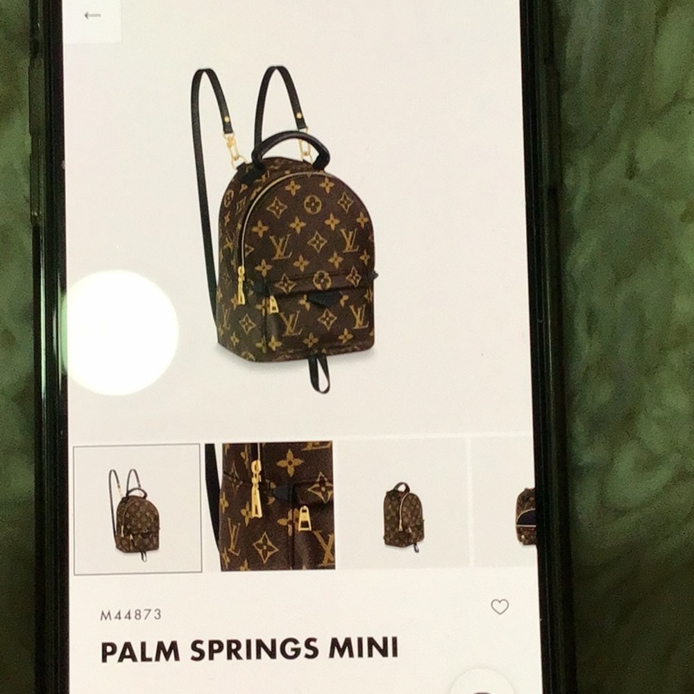 PALM SPRINGS MINI